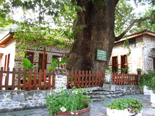 Комплекс Стария Чинар Melnik (Blagoevgrad) Kültér fotó
