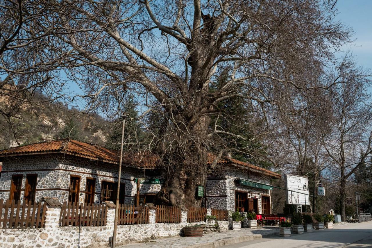 Комплекс Стария Чинар Melnik (Blagoevgrad) Kültér fotó